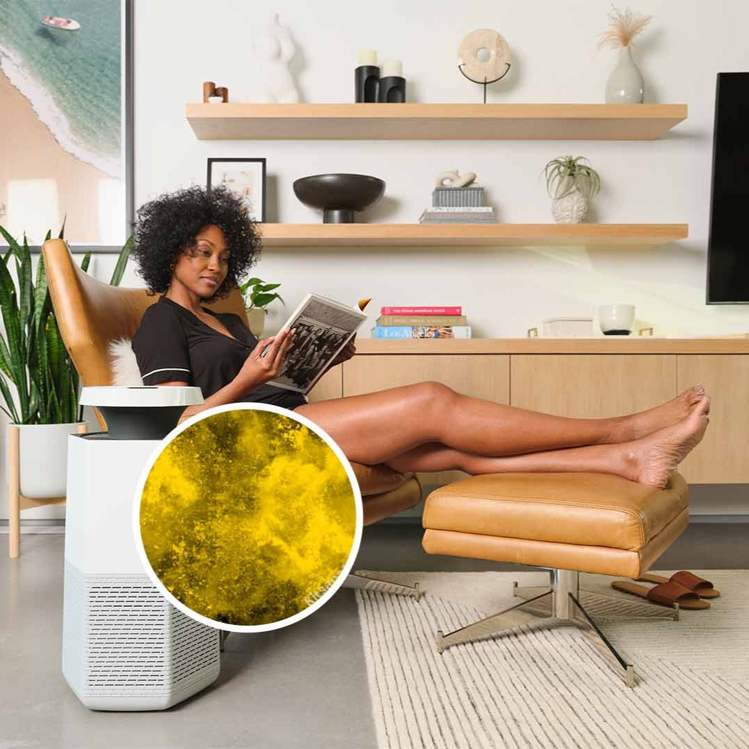 Best Air Purifier for Allergies<sup style="font-size: 65%;"> 4</sup> and Asthma: How to Breathe Easier Indoors