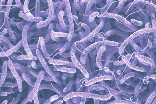 Destroys Bacteria Mid-Air.