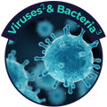 Visualization of airborne viruses and bacteria reduced by Puraclenz PCO purification technology