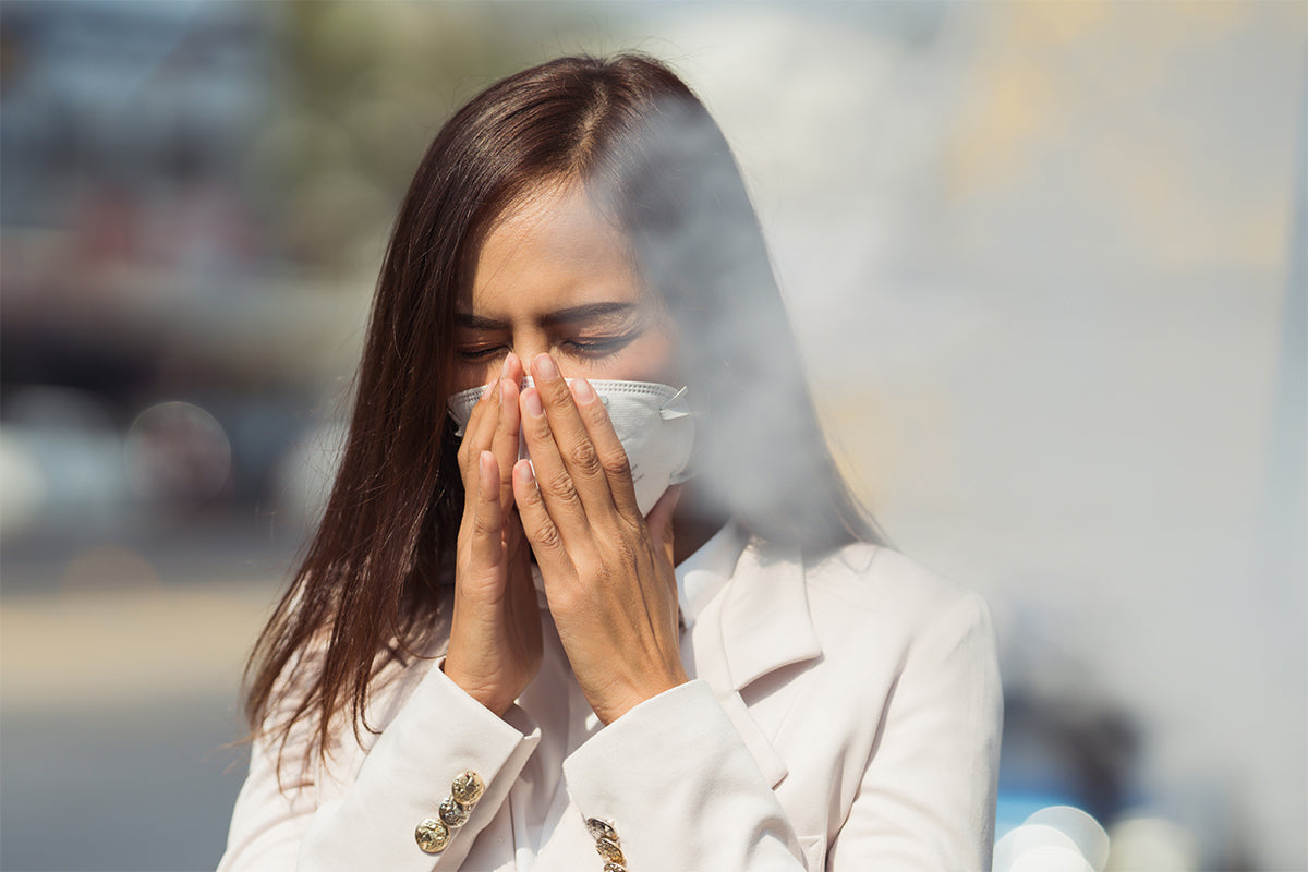 How Puraclenz helps improve indoor air quality