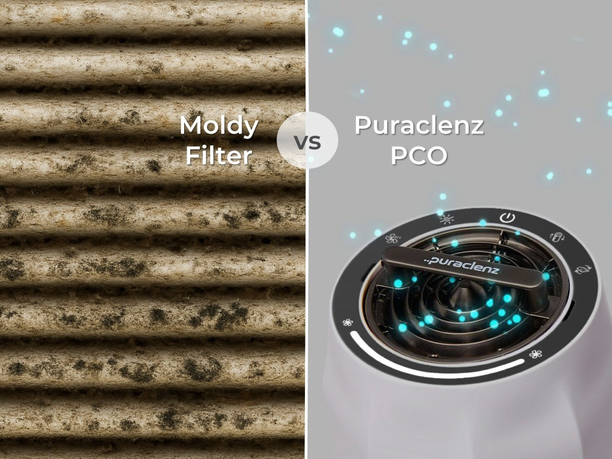 HEPA filter showing mold buildup vs Puraclenz PCO purifier clean design for mold removal
