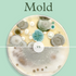 Mold vs Mildew. What's the difference?