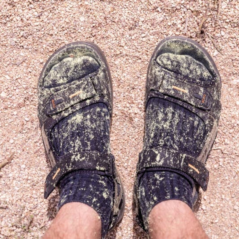 Allergens such as pollen and mold spores can be carried indoors on clothing and shoes.