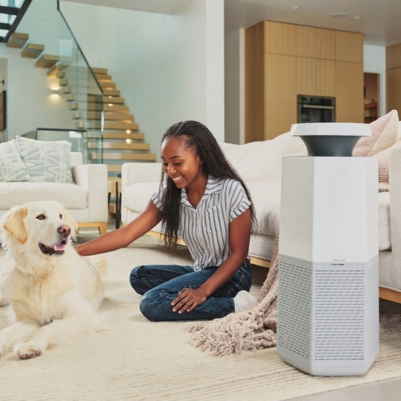 How Puraclenz Core Helps Dog & Cat Owners Breathe Easier