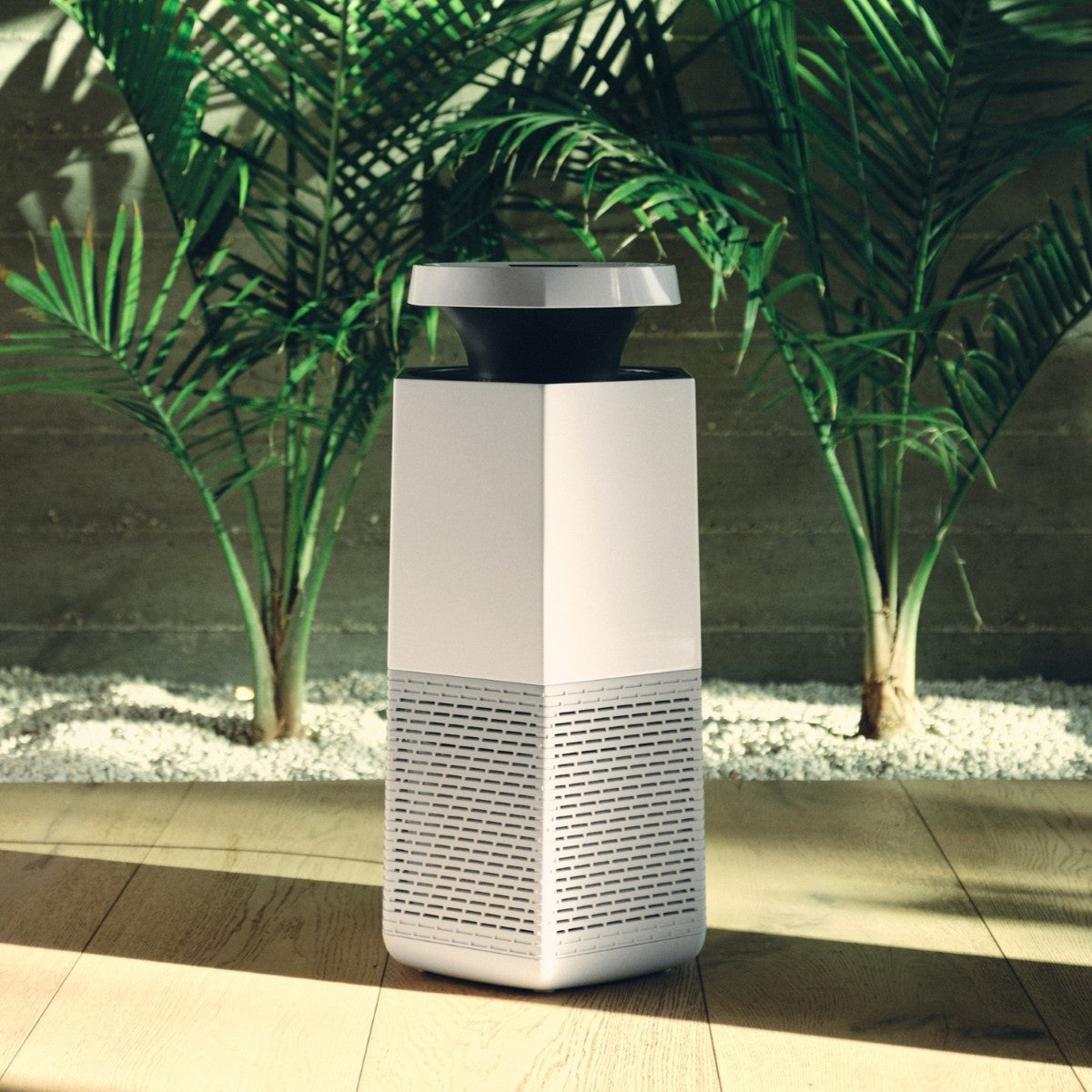 Puraclenz Core air purifier reducing mold and fall allergens in a modern home