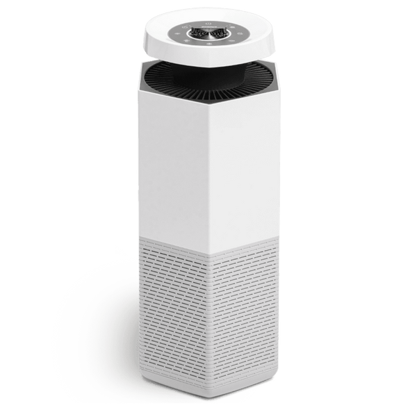 Core Air & Surface Purifier + HEPA