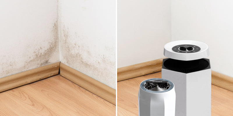 Before and after image showing Puraclenz air purifier reducing mold on walls through continuous 24-7 purification